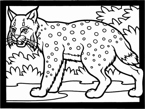 Lynx Hunting Coloring Page